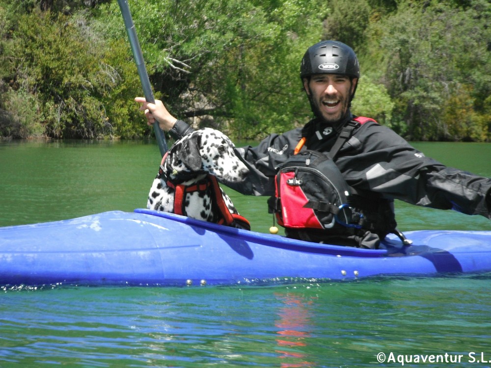 Actividades con perro diversion